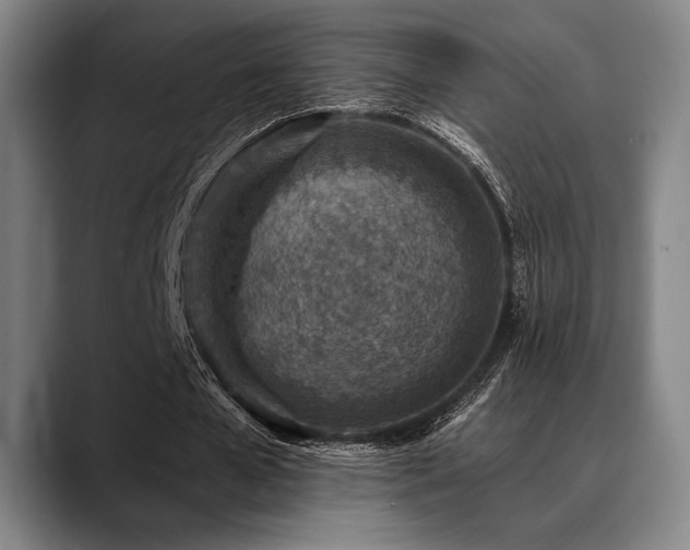 X0000089440577200706151415