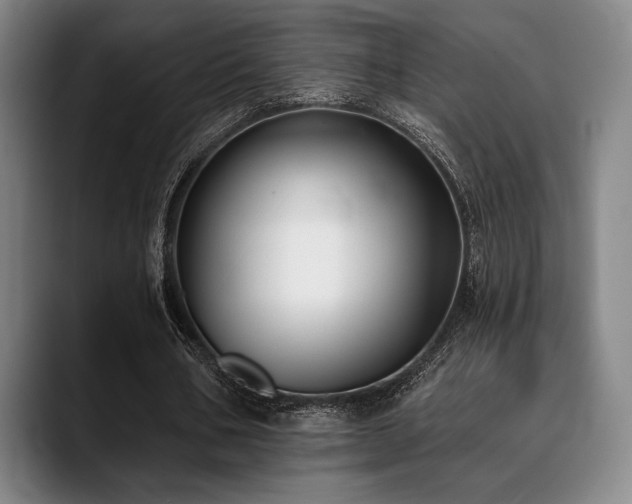X0000089440578200706151415