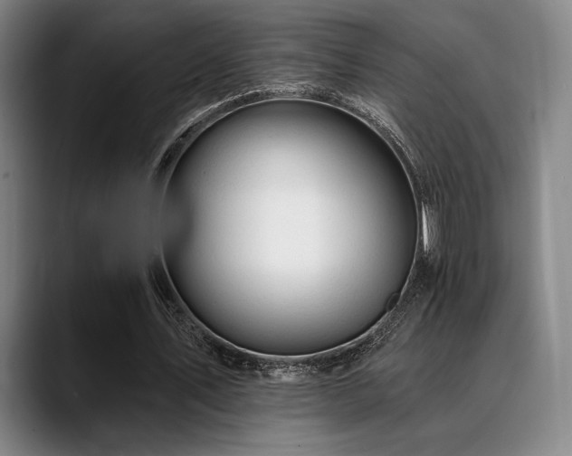 X0000089440579200706151415