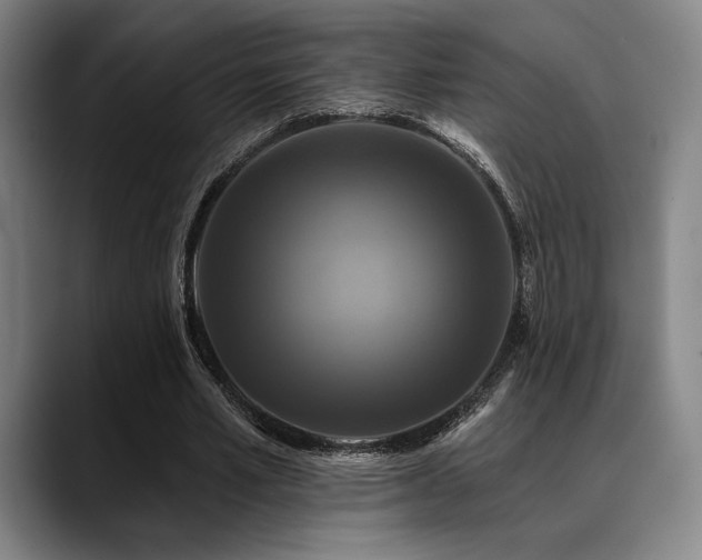 X0000089440581200706151415