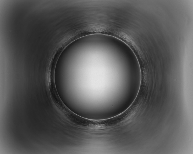 X0000089440582200706151415