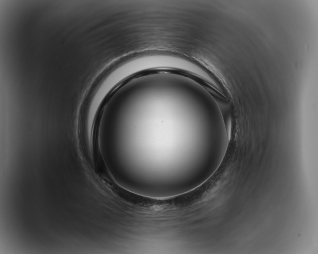 X0000089440584200706151415