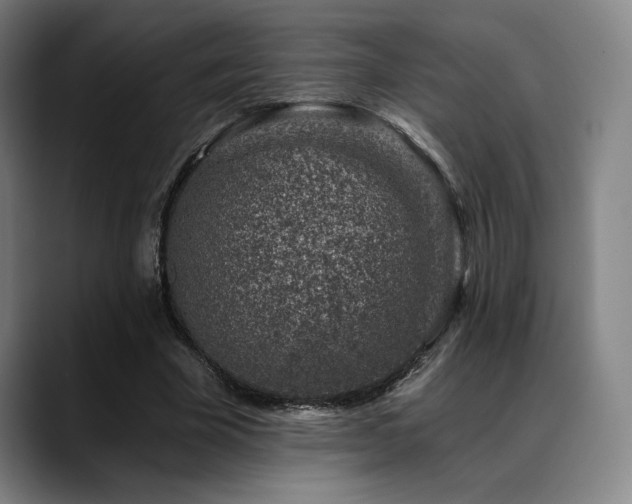 X0000089440585200706151415