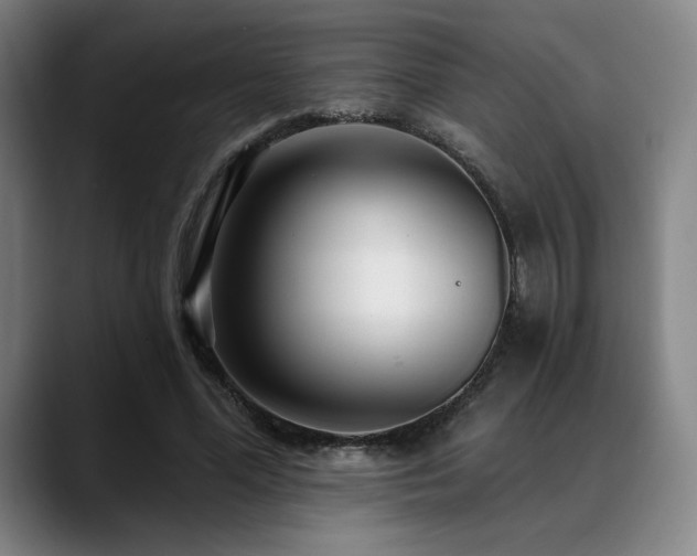 X0000089440588200706151415