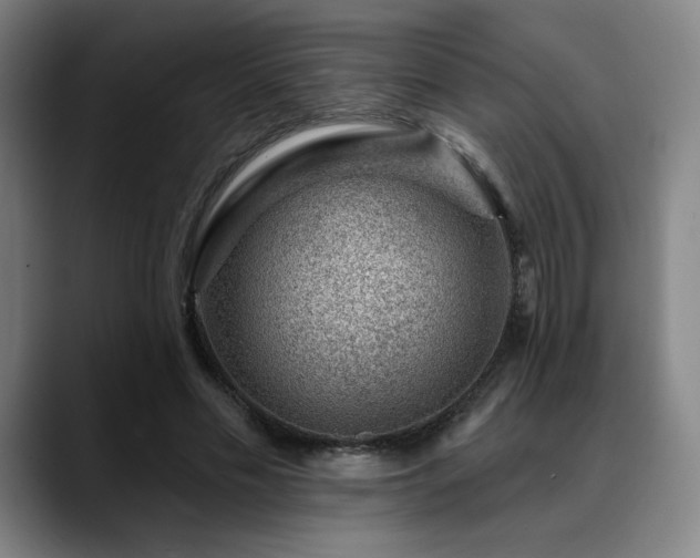 X0000089440589200706151415