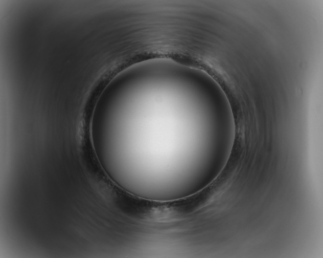 X0000089440591200706151415