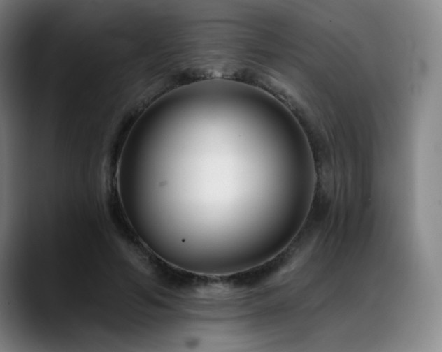 X0000089440594200706151415