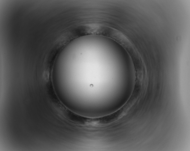 X0000089440602200706151415