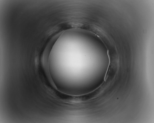 X0000089440604200706151415