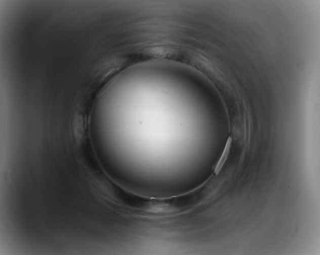 X0000089440605200706151415