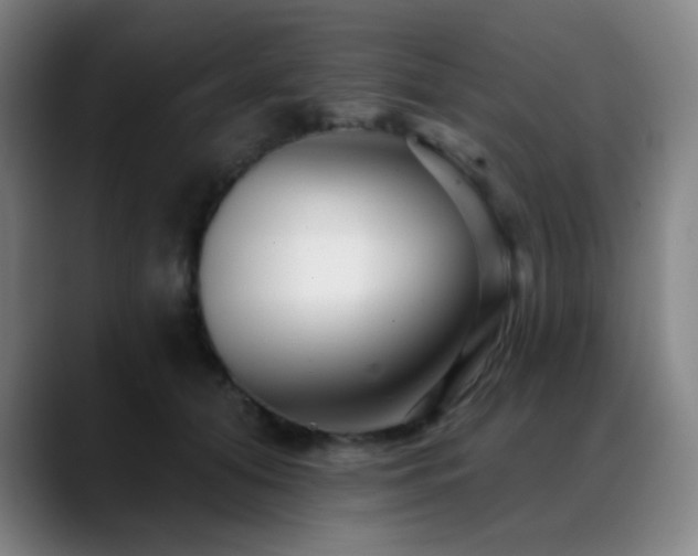 X0000089440608200706151415