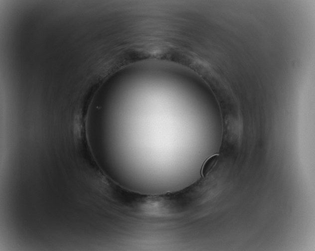 X0000089440612200706151415