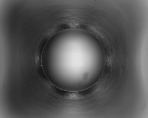 X0000089440618200706151415