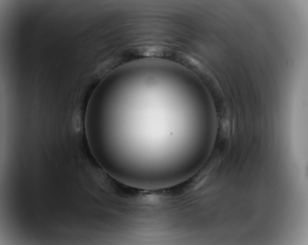 X0000089440620200706151414