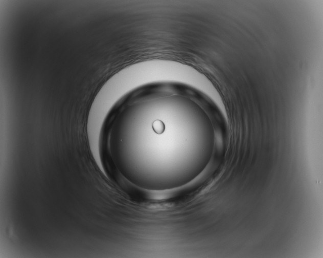 X0000089440621200706151414