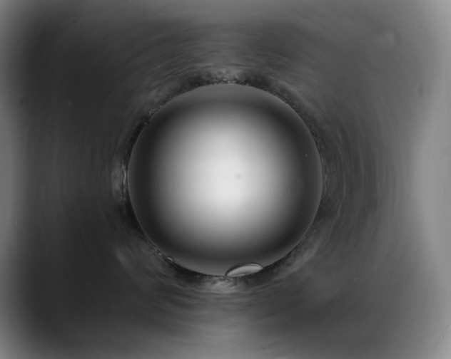 X0000089440624200706151414