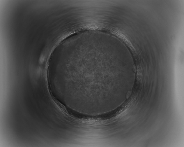 X0000089440626200706151414
