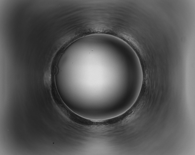 X0000089440630200706151414