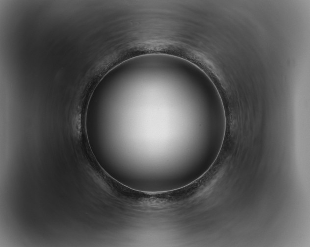 X0000089440633200706151414