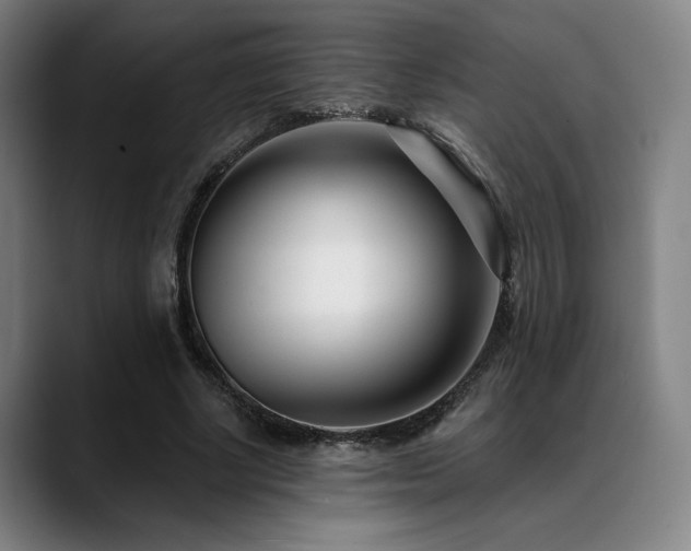 X0000089440634200706151414