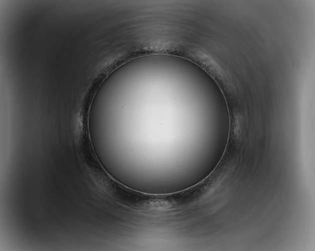 X0000089440636200706151414