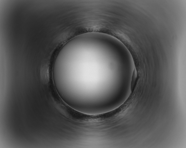X0000089440638200706151414