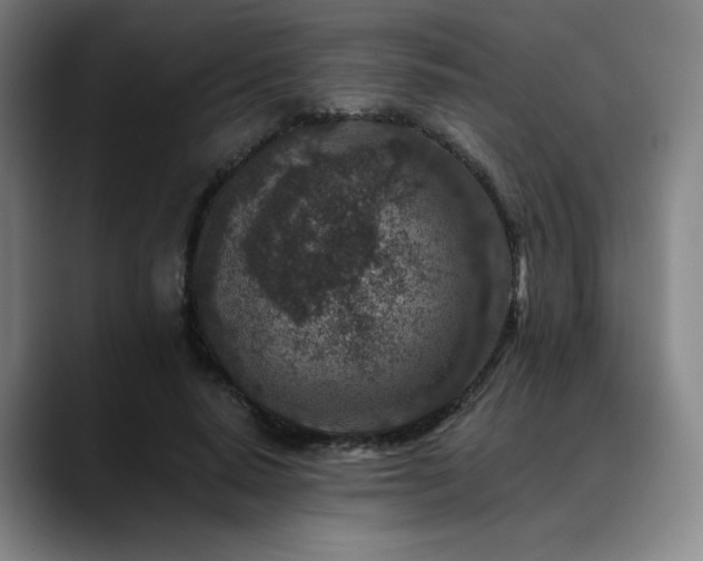 X0000089440640200706151414