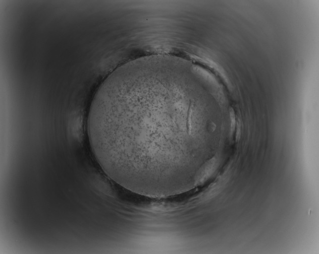 X0000089440641200706151414