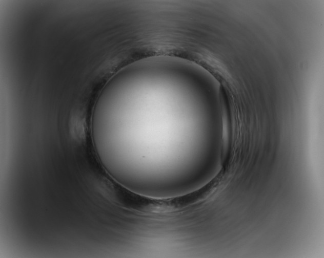X0000089440644200706151414