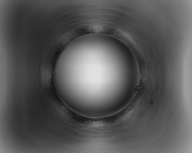 X0000089440645200706151414