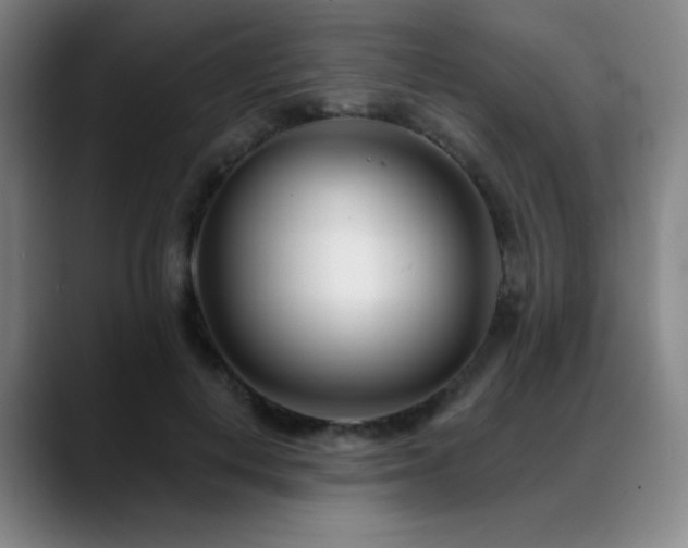 X0000089440648200706151414