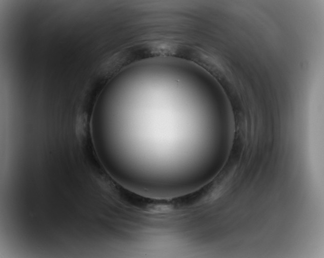 X0000089440649200706151414
