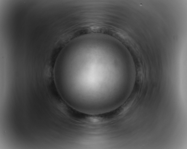 X0000089440654200706151414