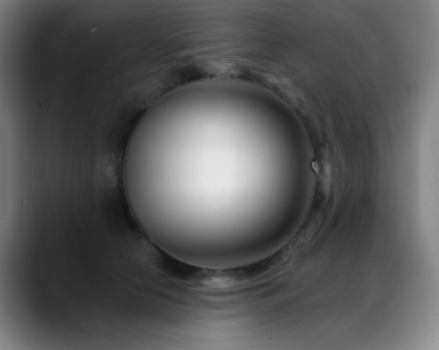X0000089440658200706151414