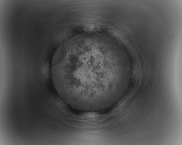 X0000089440659200706151414