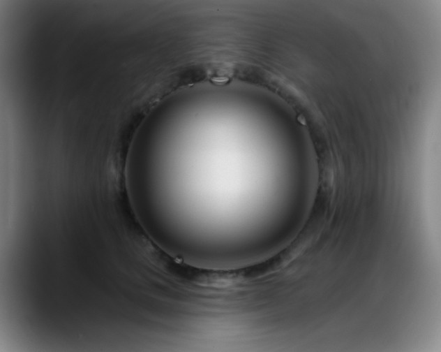 X0000089440661200706151414