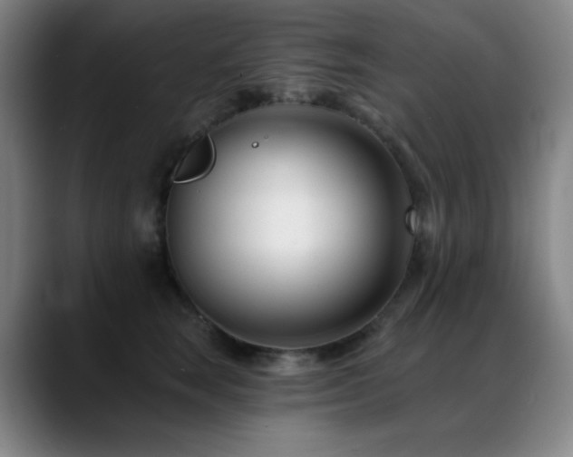 X0000089440663200706151414