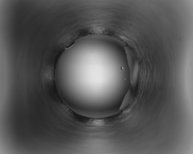 X0000089440665200706151414