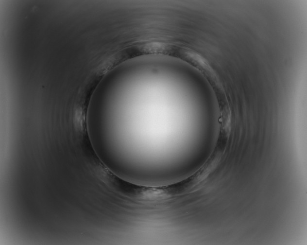 X0000089440669200706151414