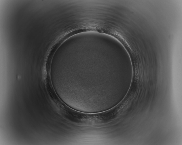 X0000089440674200706151414