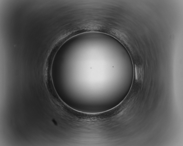 X0000089440675200706151414
