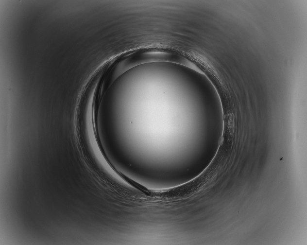 X0000089440676200706151414