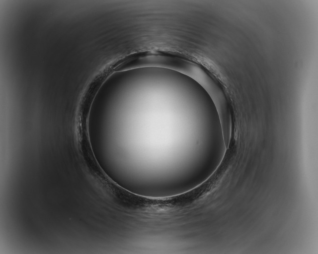 X0000089440680200706151414