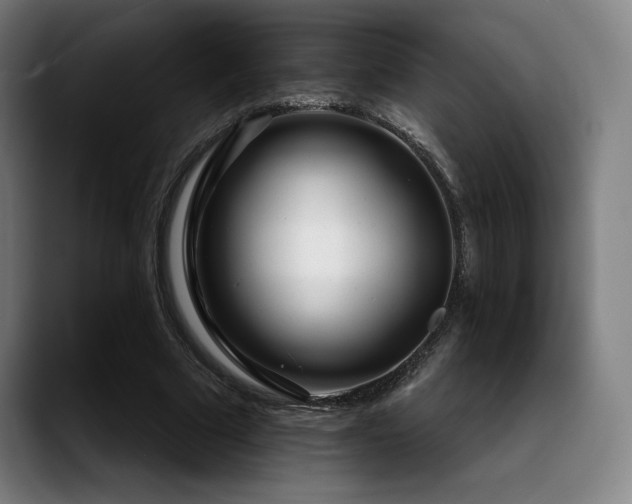 X0000089440681200706151414