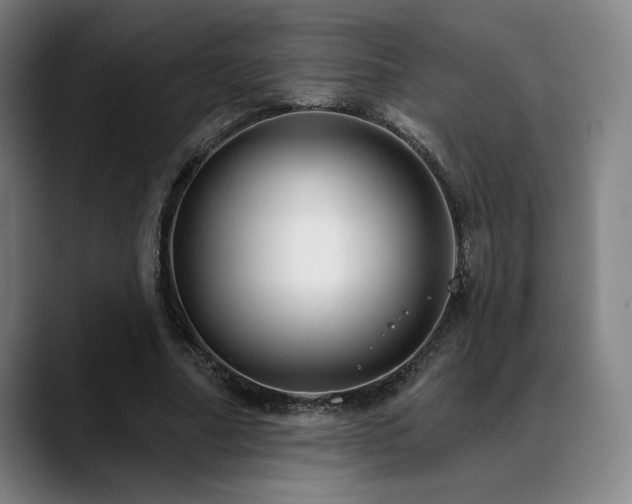 X0000089440682200706151414