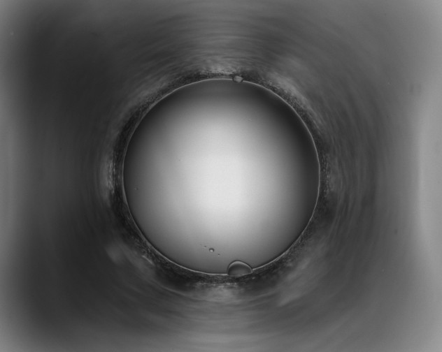 X0000089440683200706151414