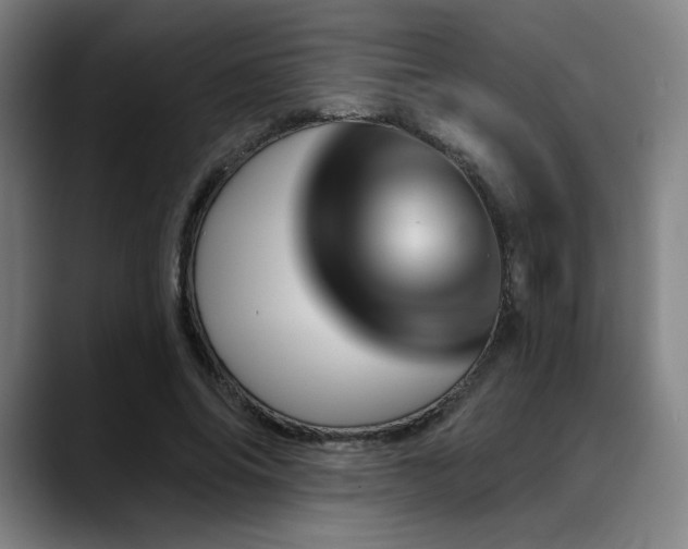 X0000089440686200706151414