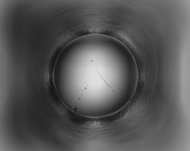 X0000089440687200706151414