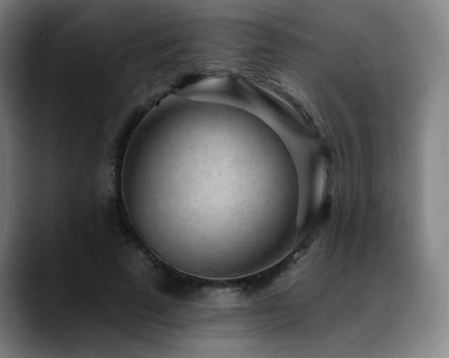 X0000089440689200706151414