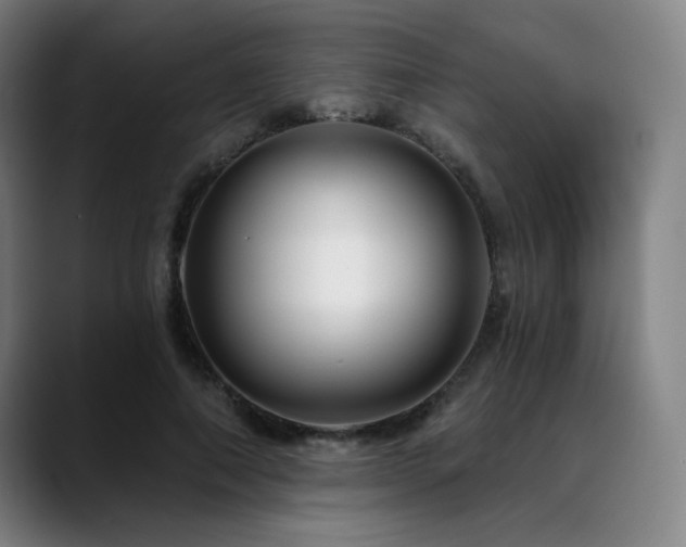 X0000089440690200706151414